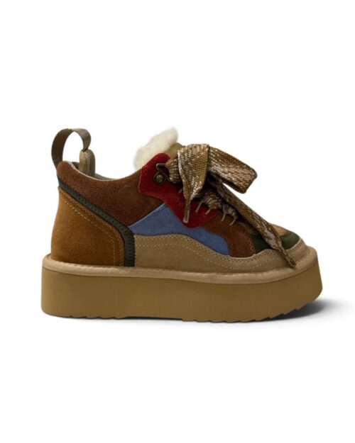 anfibio multicolor